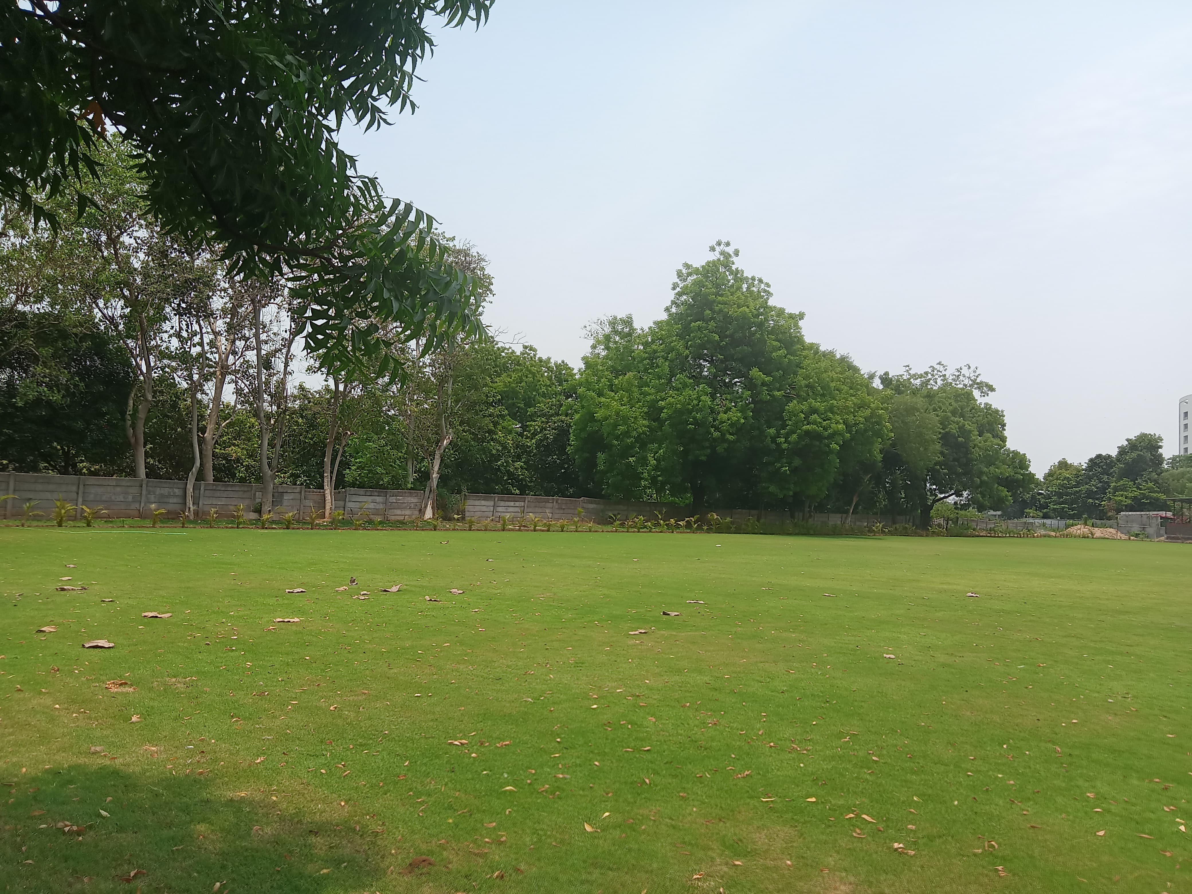 AARUSH LAWN